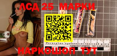 apvp Новодвинск
