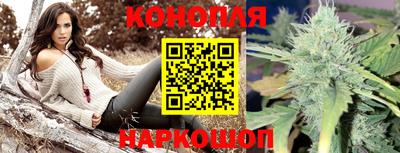 мет Новозыбков