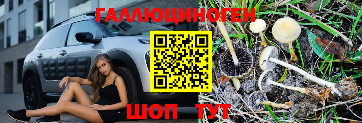 Скопин  Галлюциногенные грибы Psilocybine cubensis  Вход с VPN 