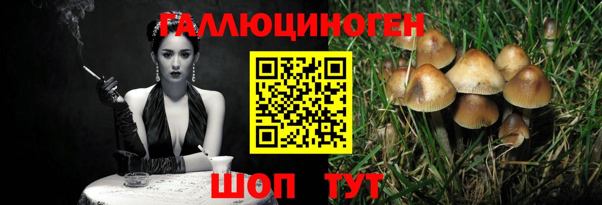 Псилоцибиновые грибы GOLDEN TEACHER Скопин